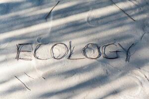 The word 'Ecology' written with twigs on sandy beach under tree shadows. photo