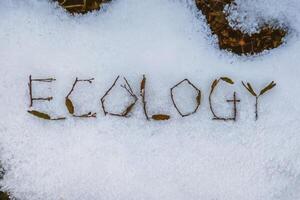 The word 'ECOLOGY' spelled with leaves and twigs on snow. photo