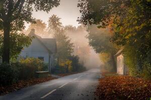 Serene countryside road with autumn foliage and morning mist. photo