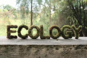 Moss-covered letters spelling 'ECOLOGY' in a forest setting. photo