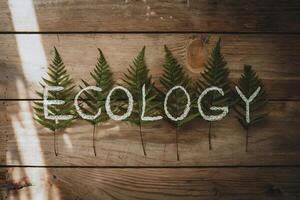 Word 'ECOLOGY' made of white strings on fern leaves against wooden background. photo