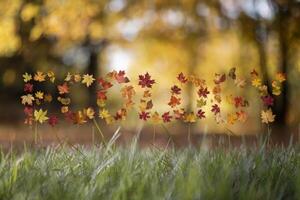 Autumn leaves spell out 'Autumn' against a blurred forest background. photo