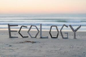 Driftwood spelling 'Ecology' on a serene beach at sunset. photo