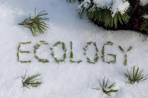 Ecology spelled with pine needles on fresh snow near pine branches. photo