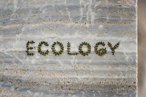The word 'Ecology' spelled with green leaves on a stone surface. photo