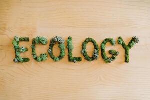 The word 'Ecology' spelled out with green moss on a wooden surface. photo