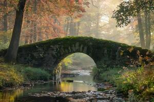Misty autumn morning over a serene stone bridge in a forest setting. photo