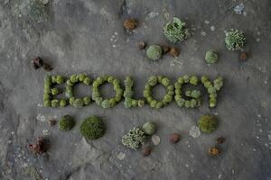 Green moss arranged to spell 'Ecology' on a stone background. photo