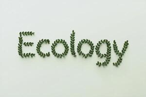 Word 'Ecology' formed with green leaves on white background. photo