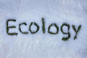 Ecology spelled with pine needles on a blanket of fresh snow. photo