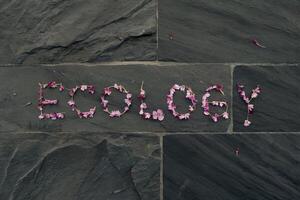 Word 'Ecology' spelled out with pink flowers on a stone surface. photo