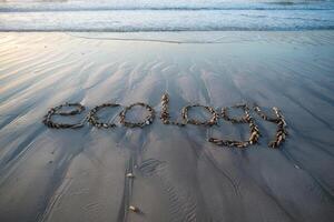 Driftwood spelling 'ecology' on a sandy beach near ocean waves. photo