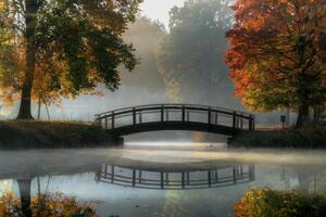 Serene wooden bridge over a misty pond surrounded by autumn foliage. photo