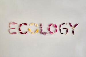 The word 'ECOLOGY' spelled out using colorful flower petals on a white background. photo