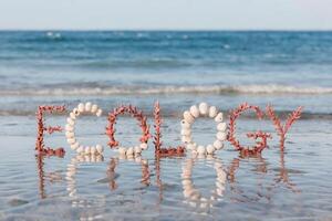 The word 'ECOLOGY' spelled out using shells and coral on a beach. photo