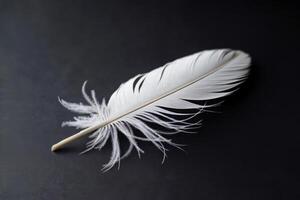 Close-up of a single white feather on a dark background. photo