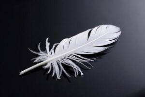 Delicate white feather resting on a sleek black surface. photo