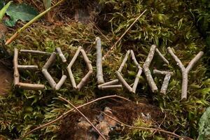 The word 'ECOLOGY' spelled with twigs on a mossy forest floor. photo