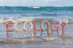 Seashells and coral spell 'Ecology' on a beach at the water's edge. photo