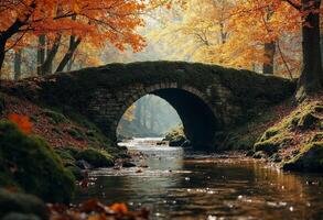 Stone bridge over a calm stream in a forest with vibrant autumn leaves. photo