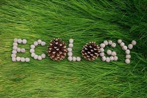 Ecology spelled out with pine cones on vibrant green grass. photo