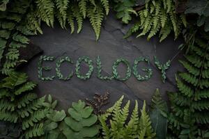 The word 'ECOLOGY' formed with green leaves and surrounded by ferns. photo