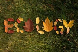 Colorful autumn leaves spell out the word 'fall' on green grass. photo