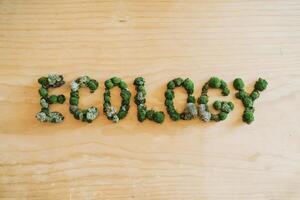 The word 'Ecology' spelled out with green moss on a wooden surface. photo