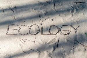 The word 'ecology' spelled out with twigs on sandy ground. photo