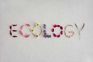 Ecology spelled out with flower petals and leaves on a light background. photo