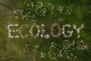 The word 'ECOLOGY' spelled out in flowers on a lush green meadow. photo