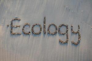 The word 'Ecology' written with small stones on a sandy beach. photo