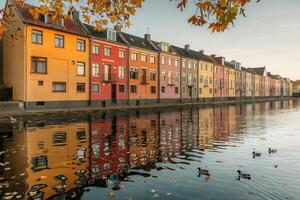 Colorful row houses reflecting in a calm canal with ducks swimming. photo