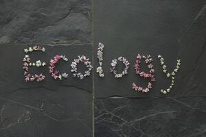 Floral letters spelling 'Ecology' on a dark stone background. photo