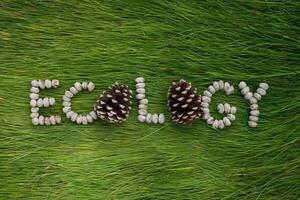 The word 'ECOLOGY' spelled with natural elements on green grass. photo