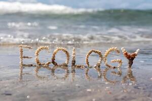 The word 'ECOLOGY' formed with seashells on a beach shore. photo