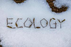 Word 'ECOLOGY' spelled with twigs and leaves on a snowy ground. photo