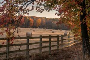 Scenic autumn field with hay bales and vibrant fall foliage. photo