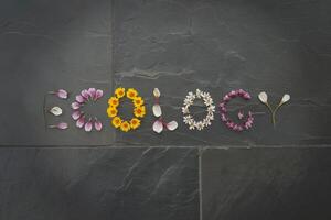 Ecology spelled with flowers on a dark slate background. photo