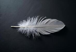 Close-up of a delicate white feather on a dark background. photo