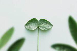 Close-up of green leaves with water droplets resembling butterfly wings. photo