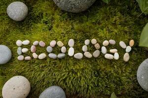Pebbles spelling 'Ecology' on lush green moss. photo