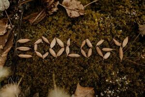 The word 'ecology' spelled out with leaves on a forest floor. photo