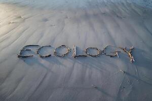 The word 'ecology' written with driftwood on a sandy beach. photo
