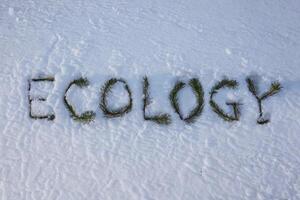 The word 'Ecology' written with pine needles on a snowy ground. photo