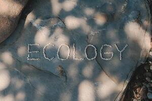 Pebbles on a rock spell out 'ECOLOGY' under a dappled sunlight. photo