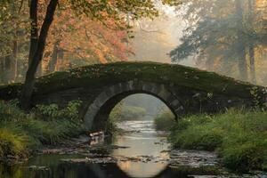 A serene stone bridge over a calm forest stream in autumn. photo