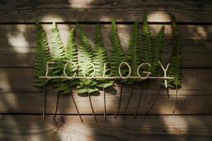 Green fern leaves with the word 'ECOLOGY' spelled out in twigs on wooden planks. photo