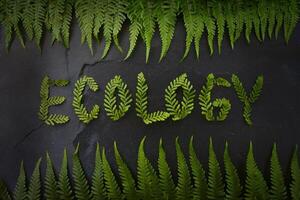 The word 'Ecology' formed with green fern leaves on a dark stone background. photo
