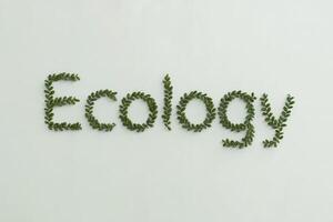 Green leaves spelling 'Ecology' on a light background. photo